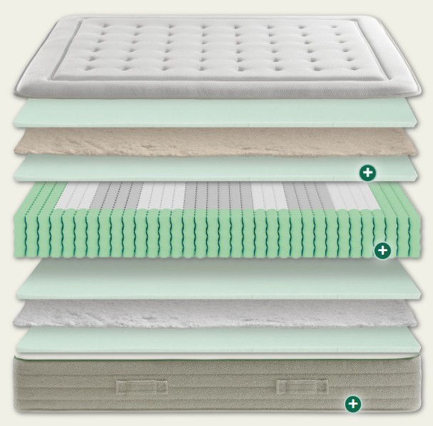 Ecus Cotton SMOOTH - Imagen 2